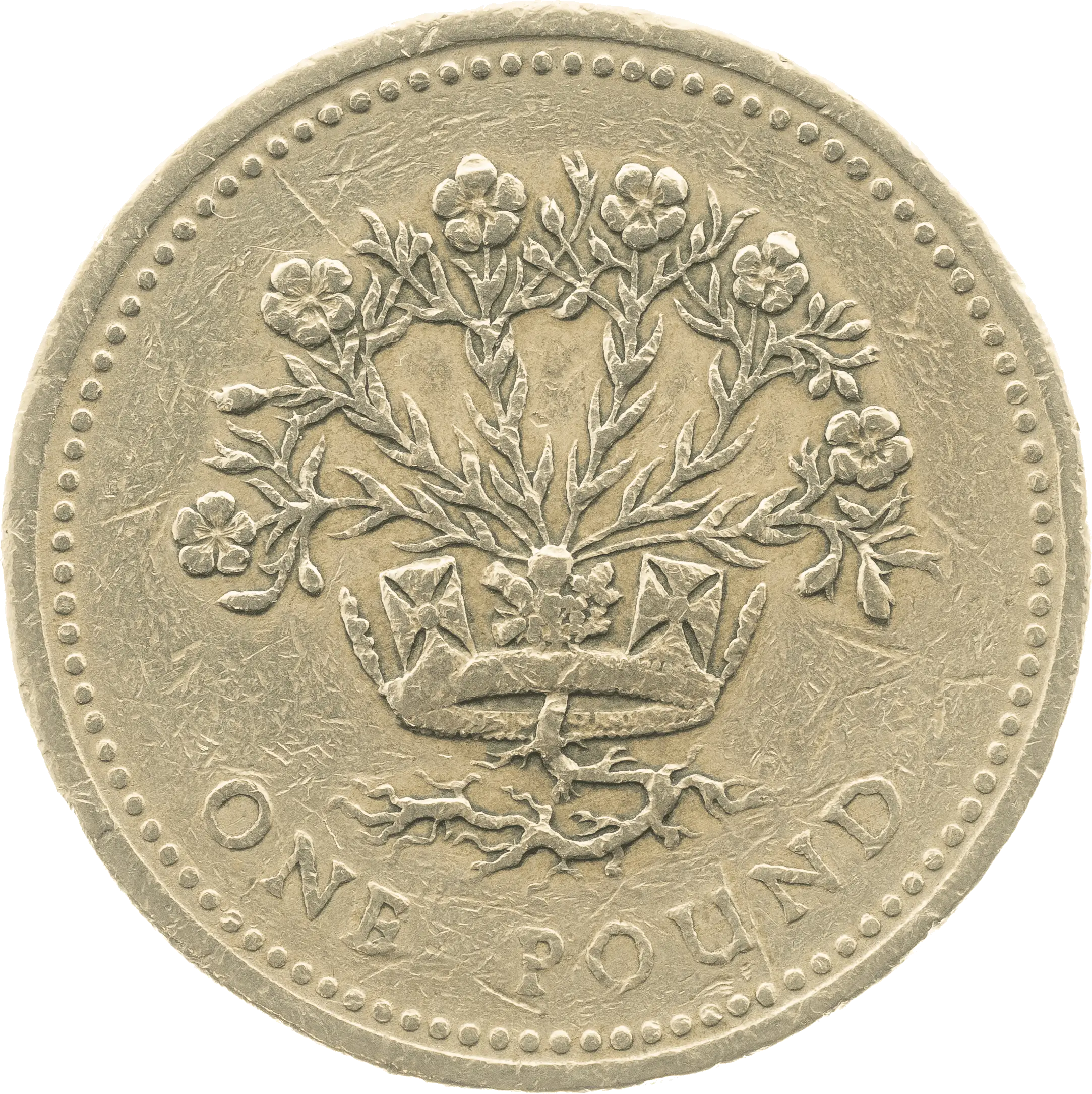 Flax £1 Coin Design