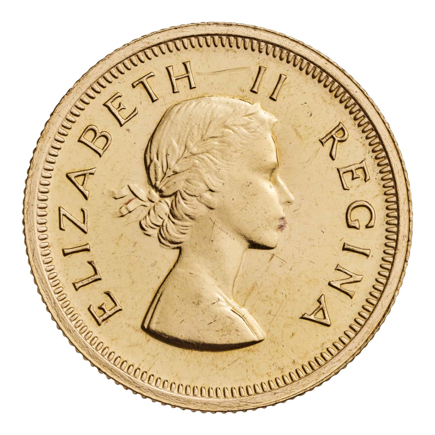 1955 Queen Elizabeth II South Africa Pound obverse